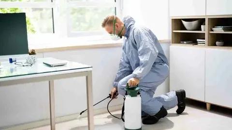 Local General Pest Control Cleveland Ohio Residents Trust for Lasting Results