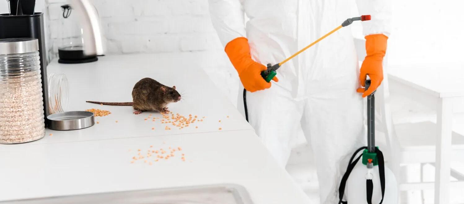 Mice Exterminator in Cleveland